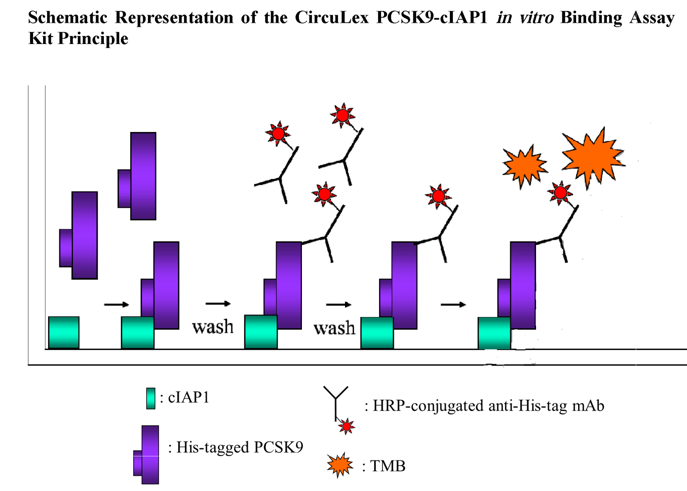 Schematic Diagram of PCSK9-cIAP1 Binding Assay Kit