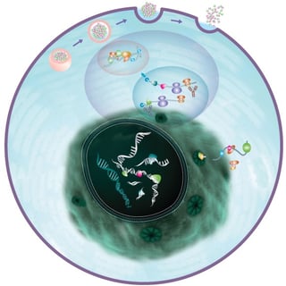 epigene.jpg epigene.jpg
