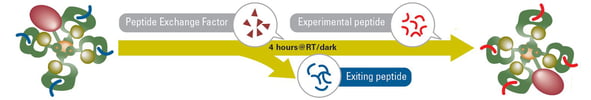 Schematic of QuickSwitch Assay