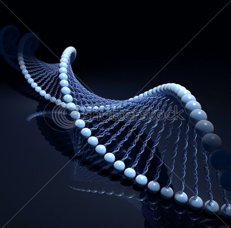 DNA helix