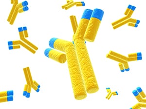 Why should you use Isotype Control Antibodies
