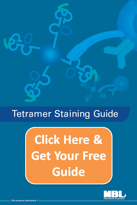 Be positive! 5 ways to confirm your MHC tetramer is binding