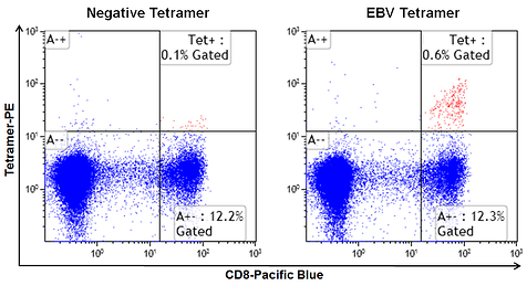 MHC Class I Human Negative Tetramer - SA-PE