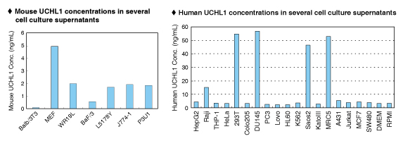 Investigating Parkinson's Disease Part II: The Role of PARK5/UCHL1