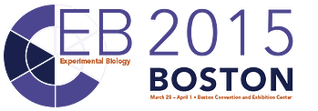 eb-banner2015