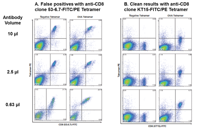 Compare_2_CD8_FITC_clones_stain_OT-I_cells