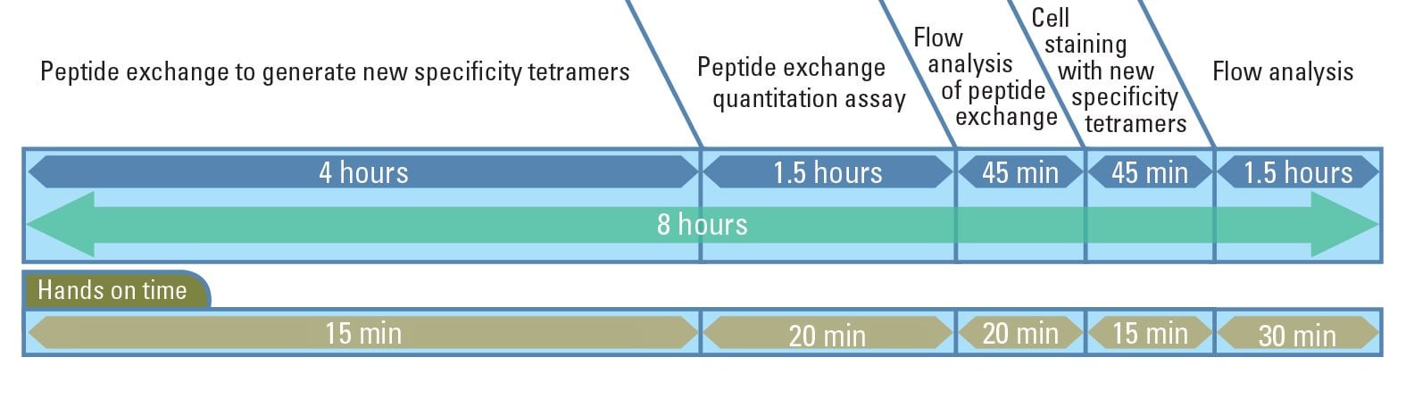 Time line for QuickSwitch peptide exchange