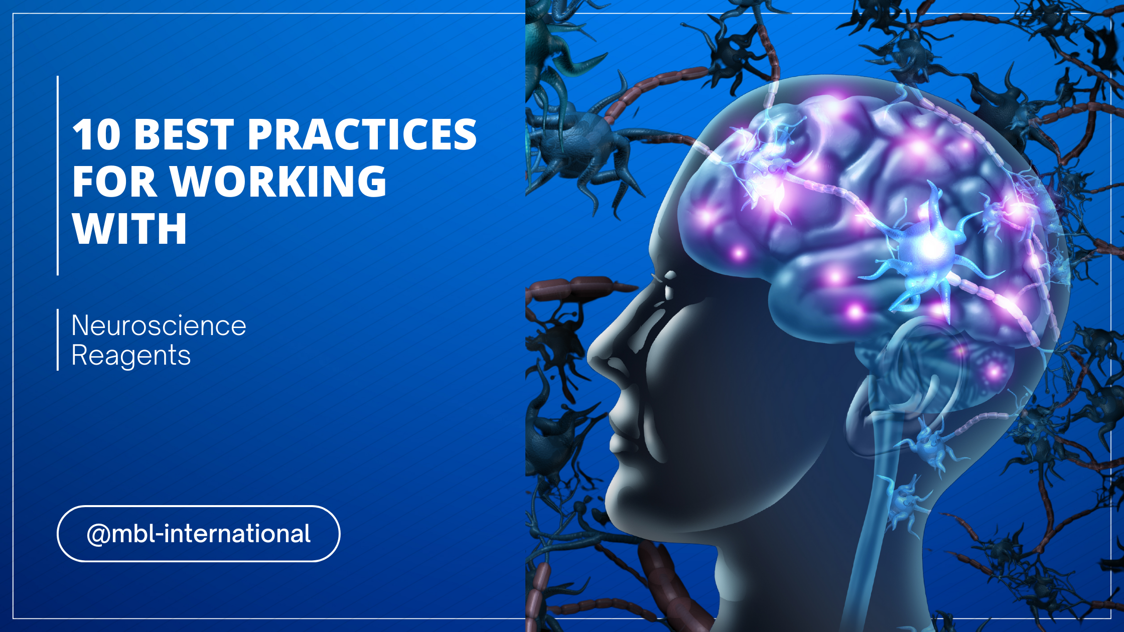 10 Best Practices for Working with Neuroscience Reagents