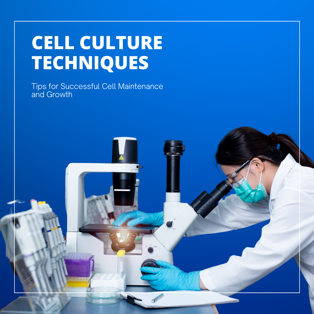 Cell Culture Techniques: Successful Cell Maintenance and Growth
