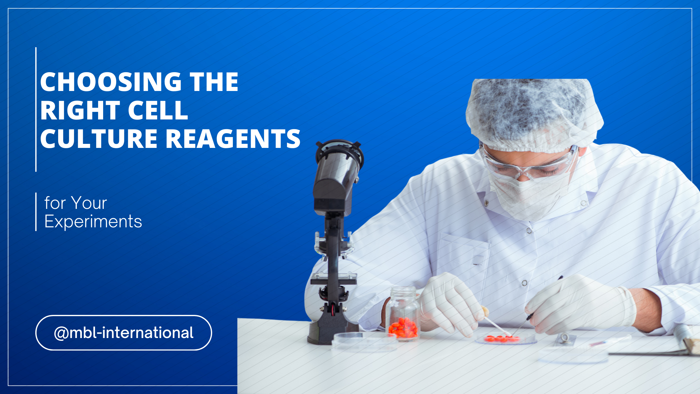 Choosing the Right Cell Culture Reagents for Your Experiments