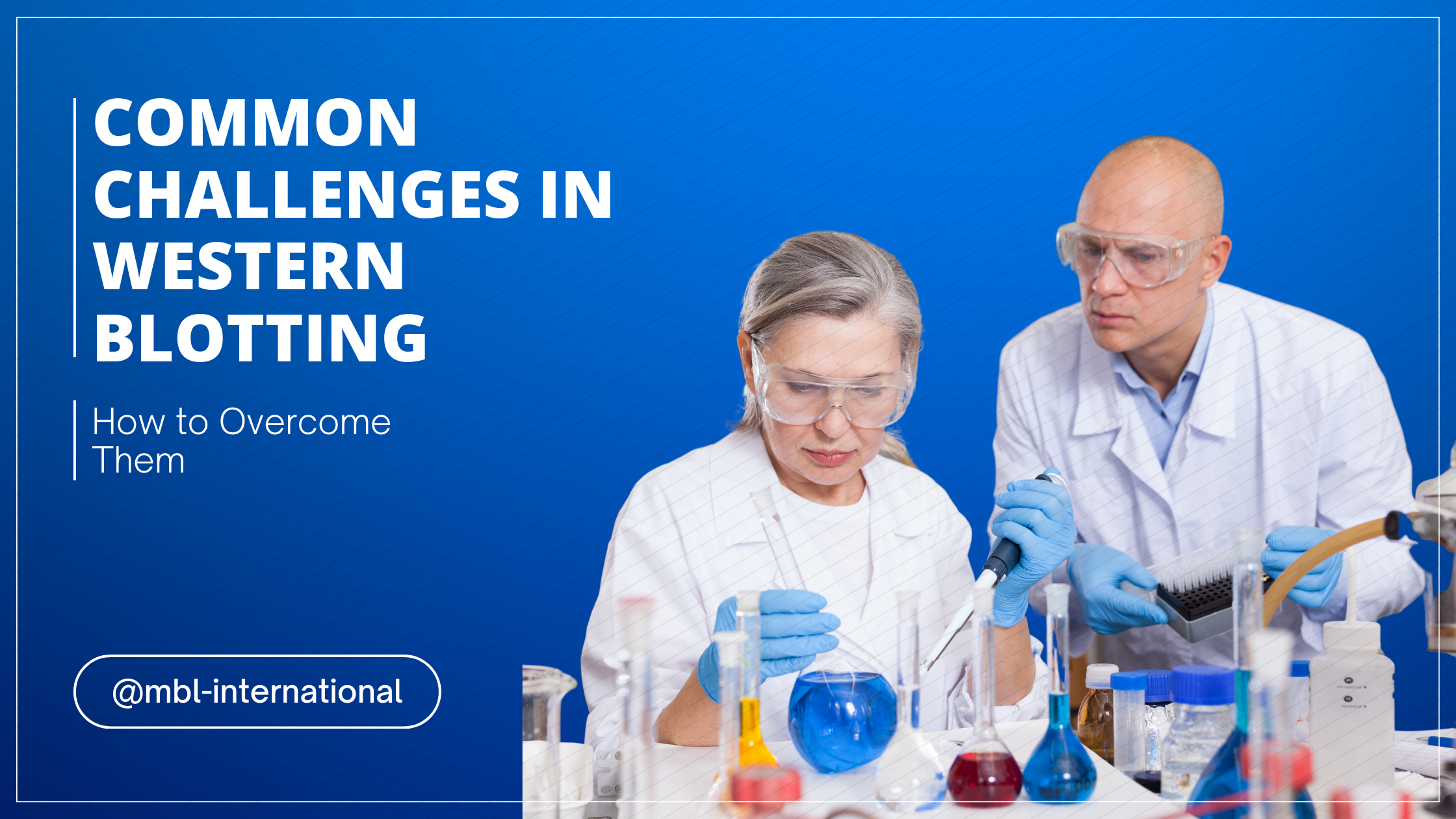 Common Challenges in Western Blotting and How to Overcome Them