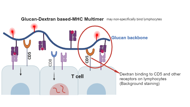 Improved Signal Clarity: Advantages of MBLI Tetramers Without Dextran