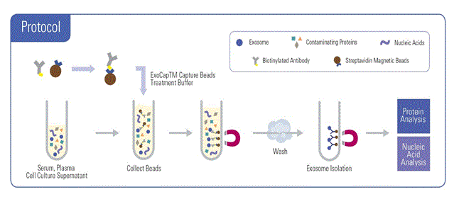 Exocap protocol for exosome isolation