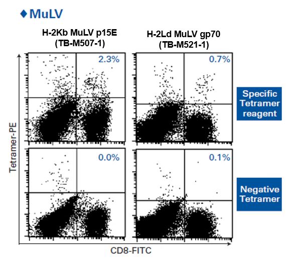 MuLV gp70 (AH1) Tetramer - a great tool for observing antigen specific immune response in cancer
