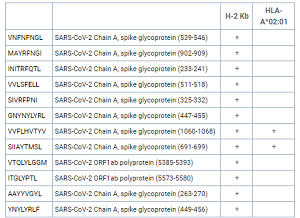 How to Identify SARS-CoV-2 Virus Derived Peptides