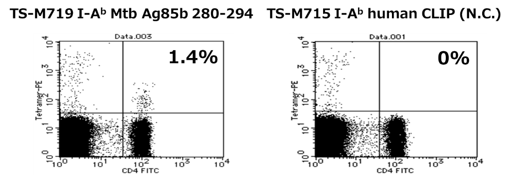 New tetramer for vaccine research targeting Tuberculosis and Ag85B specific T-cells