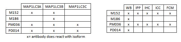 The ABC's of LC3